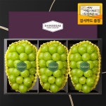 라라르떼 1 24 오전7시이전 결제건까지 주문마감 씨에스타1호 과일 선물세트 샤인3입 1 9kg 과일선물세트 보자기동봉 537607