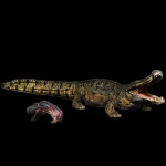 리보 데이노수쿠스 피규어 선사시대 악어 대형 장식품 공룡 동물 고대 하구판 전판 로 포장 중