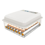 계란 부화기 Factory Directly Supply Chicken Egg Incubator 36 Eggs Hatching Machine Farm CE Engine Ac 03