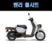 블루샤크 블루샤크 벤리110 공용 쿨 시트카바 BENLY110