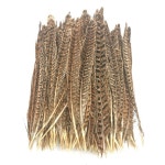 털모자용 천연 꿩꼬리깃털 장식 파티 30 홈웨딩 공예품 원색 10근 천연색 10근