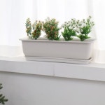 플랜테리어 꽃 분갈이 화단 인테리어 주말농장 텃밭 직사각 플분 화분 저면관수 담따 하우스팜