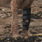 강아지 통깁스 슬개골 관절 보호대 M