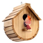 Nesto Bird House V133