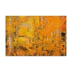 Stupell Industries 고밀도 자작나무 나뭇잎 캔버스 벽 아트 디자인 Richard Wong 45 x 30