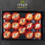 UNKNOWN 나주농장 사과 선물세트 4호 4kg 12-14과