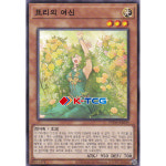 표리의여신 Normal 노멀 한글판 유희왕 1개 SUDA-KR029