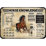 Horse Knowledge 금속 주석 표지판 승마의 장점 레스토랑 카페 레트로 명판 경마장 포스터 바 야외 사인