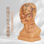 얼굴 침술 마네킹 전신 피부관리 모델 한의원 실습 교육 수지침 스타일