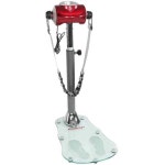 헬스장 털털이 진동기 마사지기 운동기구 뱃살 기계