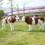 젖소모형 야외 목장 농장 대형 체험 공장 체험장 조형물 동물