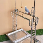 횟대 앵무새 조류 새집 키우기 농장 새장