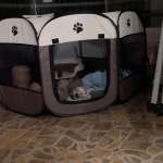 고양이 출산 박스 대형 접이식 강아지 하우스 케이지 텐트 격리장 분만실