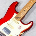 바커스 일렉기타 로즈우드넥 CAR BST-2-RSM