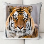 블랑꼬 인테리어 프린트 쿠션커버30x30 호랑이 30x30 AM-016
