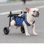 보조기 반려견 반려동물보행기 15 2 뒷다리마비 중형 강아지 보행기 휠체어 산책 6 뒷다리 XS사이즈 앞뒤 다리 간격 15-2