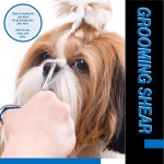 라자르 스트레이트 개 그루밍 가위 - 눈 주위에 고양이 블런트 트리밍 프리미엄 스테인리스 스틸 개용 개털 4 5 Inches