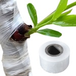 투명 접목 테이프 폭 길이200m 스크래치 필름