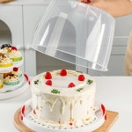 케이크 보관 돔케이스 용기 투명 밀폐용기 케익 보관함