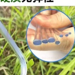 농업용 끈 와이어 원예 유인줄 자제 비닐하우스 텃밭 자재