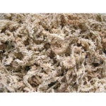 초건조 수태 뉴질랜드산 물이끼 1KG 5A 이끼 수족관