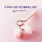 제스방 Fancy 시리즈 복숭아 당신 환심 액세서리 달걀 뛰기 애플릿 제어 10 주파수 강진 USB 충전 달걀 뛰