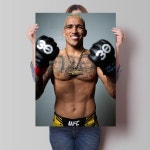 찰스올리베이라 ufc포스터 격투기 복싱 권투 포토 룸 06 45x 인물 일러스트