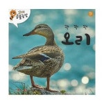 웅진북센 꽥꽥꽥 오리 - 꼬마 동물농장 보드북