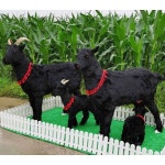 흑염소 조형물 포토존 정원꾸미기 소품 조경 장식 농장 순정 모피 3마리 카이타이 A콤비