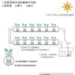 자동순환 키우기 만들기 상추 방울토마토 세트 수경재배 LED조명 식물재배기 스마트팜 3단 12관 채종기 크다