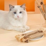 고양이 마따따비 나무 스틱 2P 우드 장난감 치석관리