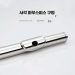 연습용플룻 초급자 악기 교육 고내구성 공연 학원 보급형 17홀