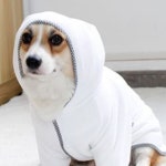 펫타올 강아지 개 고양이 애견 반려견 목욕 샤워 수건 가운
