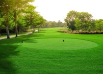 Loccor Fabric Golf Course Backdrop Green Grass Sky Trees Lawn Photography Backgro