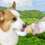 물통 애견 휴대용 강아지산책물병