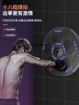 복싱 머신 음악 스마트 월 타겟 태권도 홈 트레이닝 피트니스 스포츠 장비
