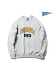 컬럼비아유니버시티 컬럼비아 유니버시티 1754 ARCH LOGO SWEATSHIRTS M그레이 앤틱실버 CIS3UTMT205-UMG
