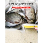 무한천원천리향미끼야생낚시붕어유식촉진제낚시전용미끼야외플래그십점