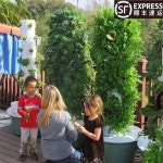 식물 재배기 수직 수경재배기 수경재배 기우기 가정용 텃밭 스마트팜 채소 타워형 실내 야채수액A B세트2개 차이나플러그