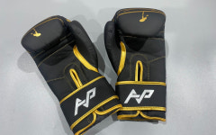 알파 알파 복싱 글러브 킥복싱 무에타이 샌드백 고급 글러브 10oz AP-25-087