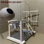회오리 모란앵무 심심풀이 장난감 호피야자 껍데기 둥지 새집 새가역대 산초목역대 그네 놀이터