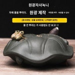 분수차 총애 자사차 총애 부티크 일품 키우기 아이디어 수제차 총애 자사차와 놀기