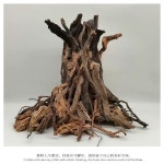 유목레이아웃 뿌리 가지 은신처 침목 유목 수조 수족관 어항 활착 장식 물고기 열대어 높이 생명의 나무