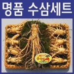 난 48호 선물셋트 9-10 뿌리 백화점용 금산산지직송 난 48호 선물셋트