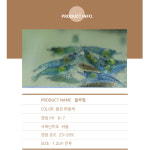 블루펄 관상용 새우 안전포장 48마리