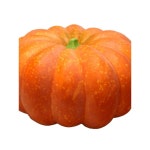 장식 할로윈 인테리어 식당 호박 펌프킨 모형 소품 늙은호박