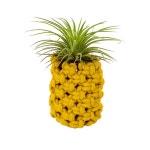 복지센터 매듭공예 수업 마크라메 이오난사 파인애플화분 만들기 미술교육 창체활동 중등