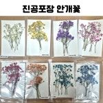 레진 공예 UV 크리스탈 레진 아트 재료 안개꽃 8종 진공포장 압화 드라이 플라워