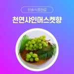 한솔식품원료 천연향료 천연샤인머스켓향 5kg 천연사과향 5kg 1개