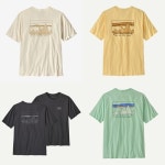 파타고니아 매장정품 파타고니아 멘즈 73 스카 오가닉 티셔츠Skyline Organic TShirt 929540 37534Q5GN25SS